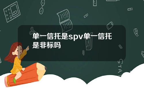 单一信托是spv单一信托是非标吗