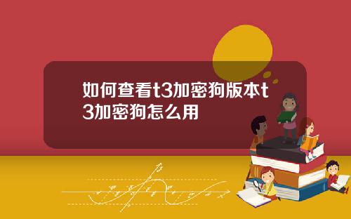 如何查看t3加密狗版本t3加密狗怎么用