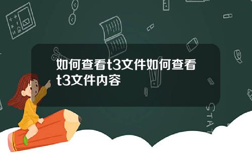 如何查看t3文件如何查看t3文件内容