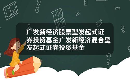 广发新经济股票型发起式证券投资基金广发新经济混合型发起式证券投资基金