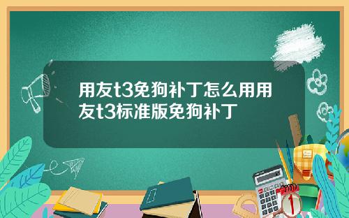 用友t3免狗补丁怎么用用友t3标准版免狗补丁