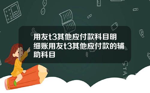 用友t3其他应付款科目明细账用友t3其他应付款的辅助科目