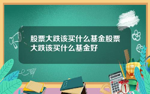 股票大跌该买什么基金股票大跌该买什么基金好