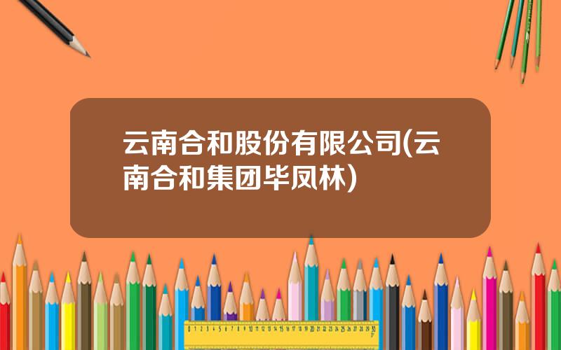 云南合和股份有限公司(云南合和集团毕凤林)