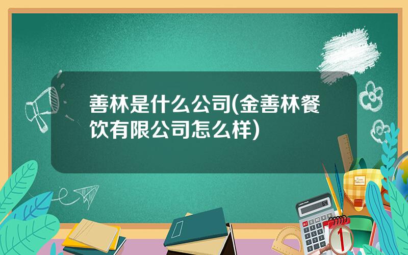 善林是什么公司(金善林餐饮有限公司怎么样)