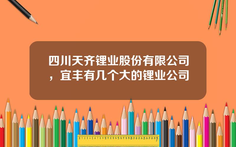 四川天齐锂业股份有限公司，宜丰有几个大的锂业公司