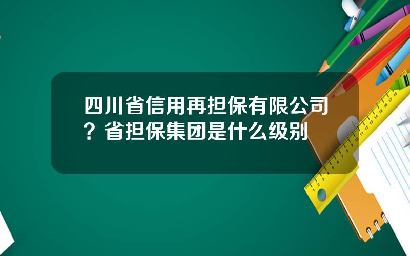 四川省信用再担保有限公司？省担保集团是什么级别