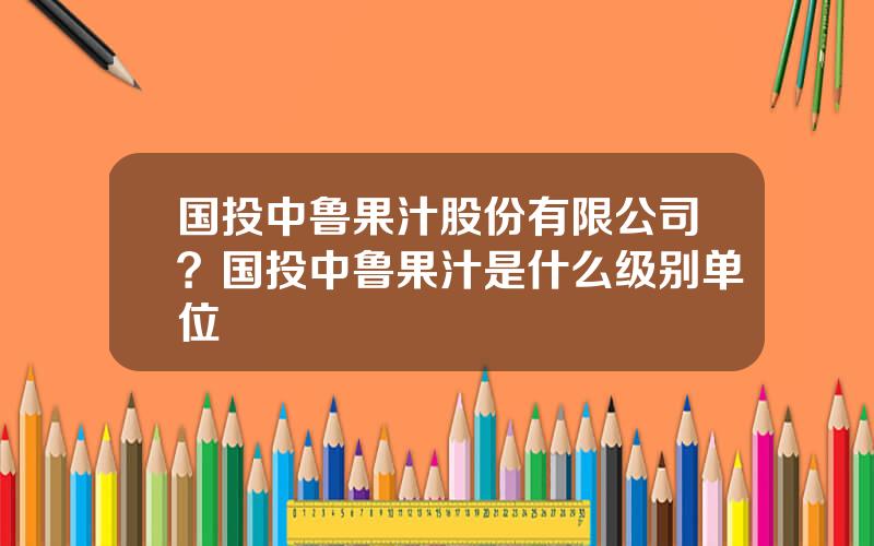 国投中鲁果汁股份有限公司？国投中鲁果汁是什么级别单位