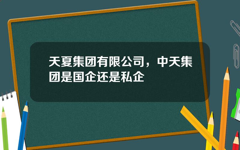 天夏集团有限公司，中天集团是国企还是私企