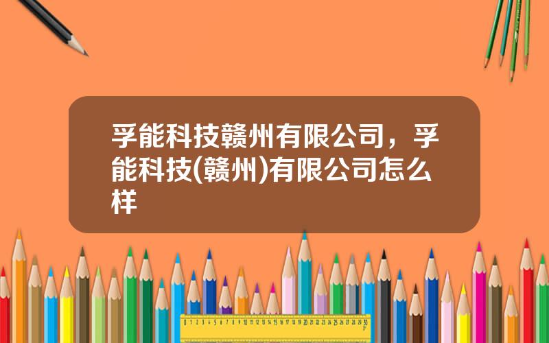 孚能科技赣州有限公司，孚能科技(赣州)有限公司怎么样