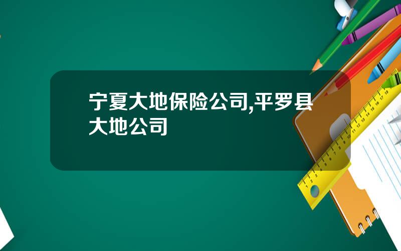 宁夏大地保险公司,平罗县大地公司