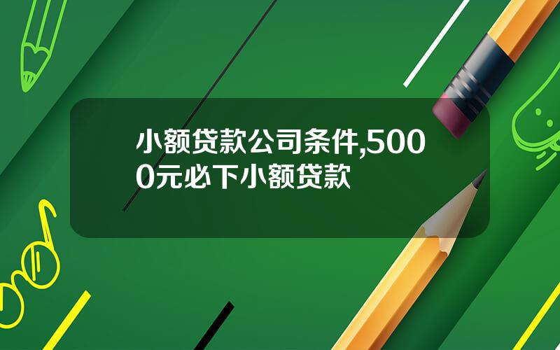 小额贷款公司条件,5000元必下小额贷款