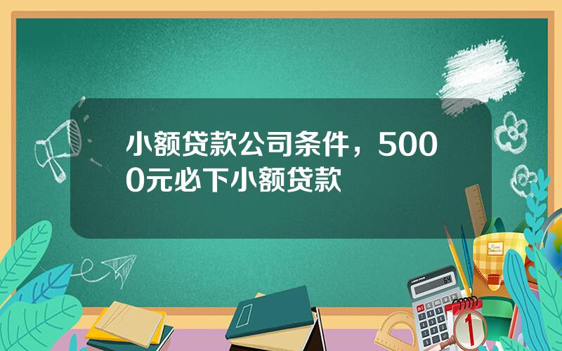 小额贷款公司条件，5000元必下小额贷款