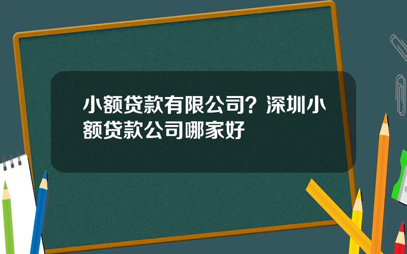 小额贷款有限公司？深圳小额贷款公司哪家好