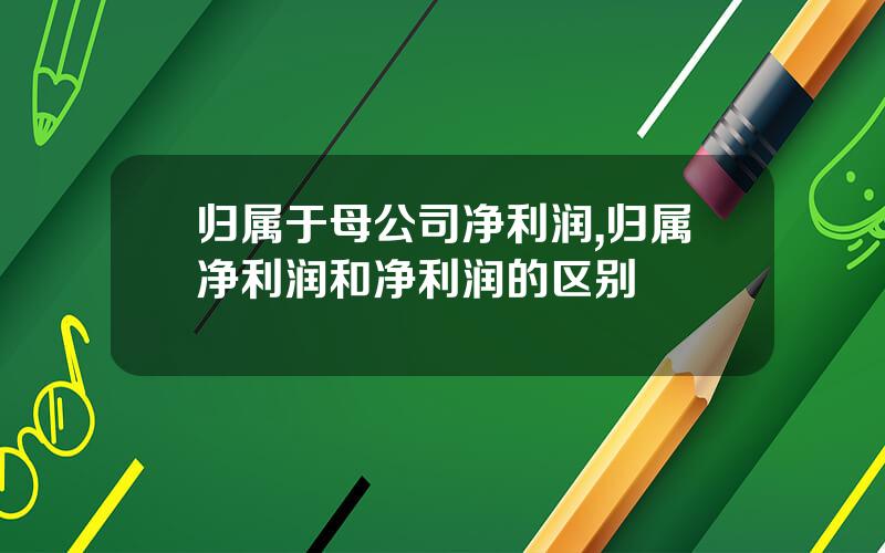 归属于母公司净利润,归属净利润和净利润的区别