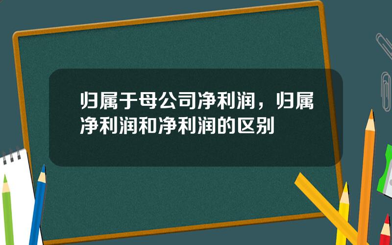 归属于母公司净利润，归属净利润和净利润的区别