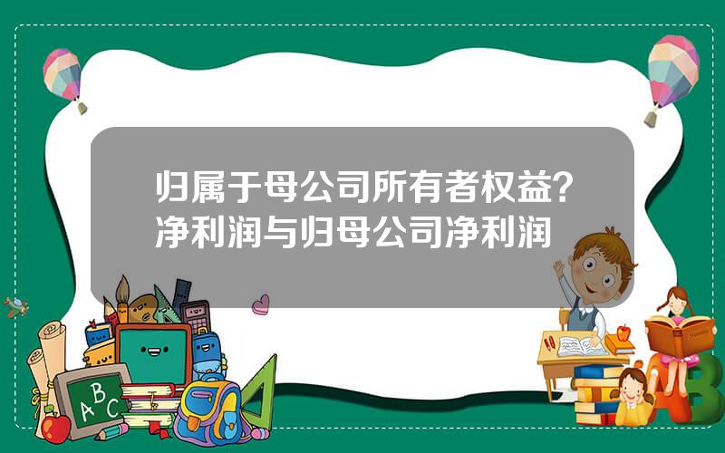 归属于母公司所有者权益？净利润与归母公司净利润