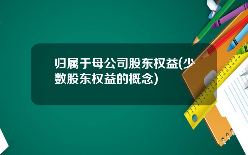 归属于母公司股东权益(少数股东权益的概念)