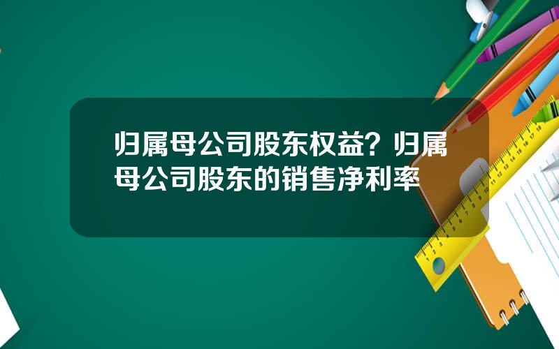 归属母公司股东权益？归属母公司股东的销售净利率