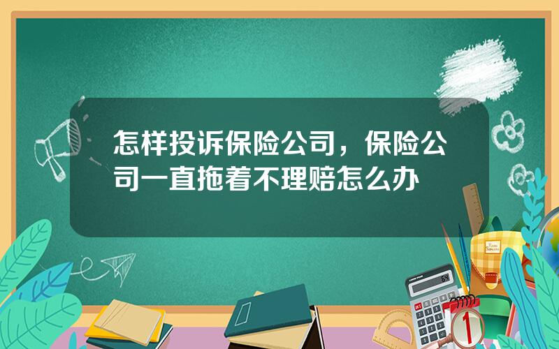 怎样投诉保险公司，保险公司一直拖着不理赔怎么办