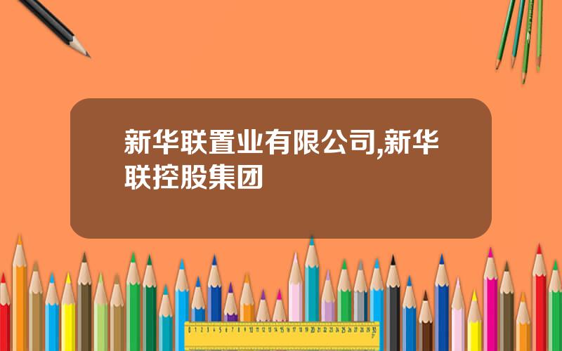 新华联置业有限公司,新华联控股集团
