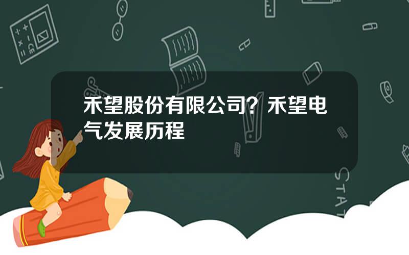 禾望股份有限公司？禾望电气发展历程